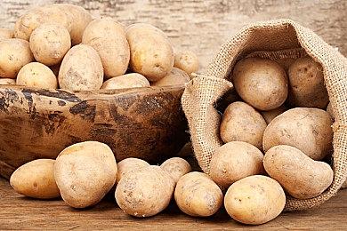 腾讯天美工作室群重组 整合为四大研发子工作室